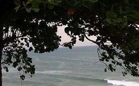 The Exotic Marigold Varkala