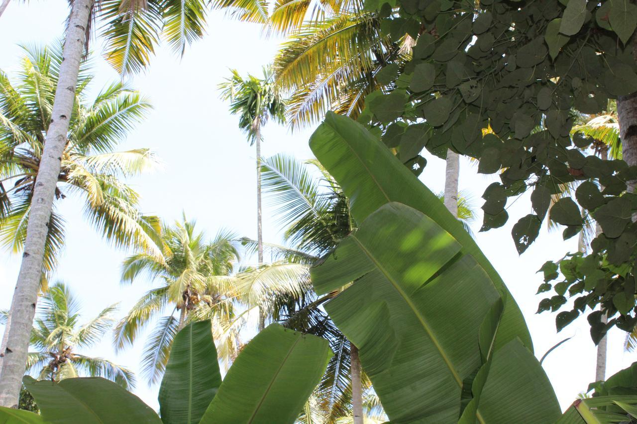 The Exotic Marigold Hotel Varkala Extérieur photo